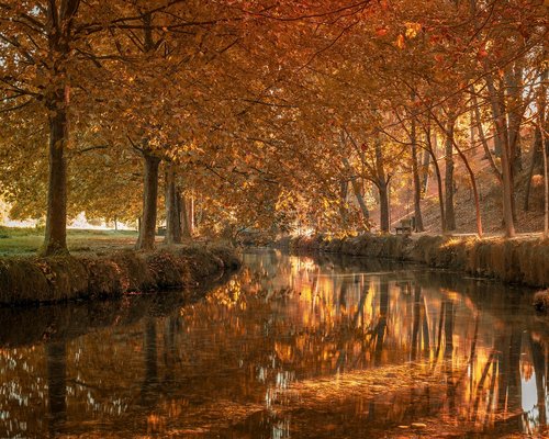 Vista de un parque en la Ciudad de México